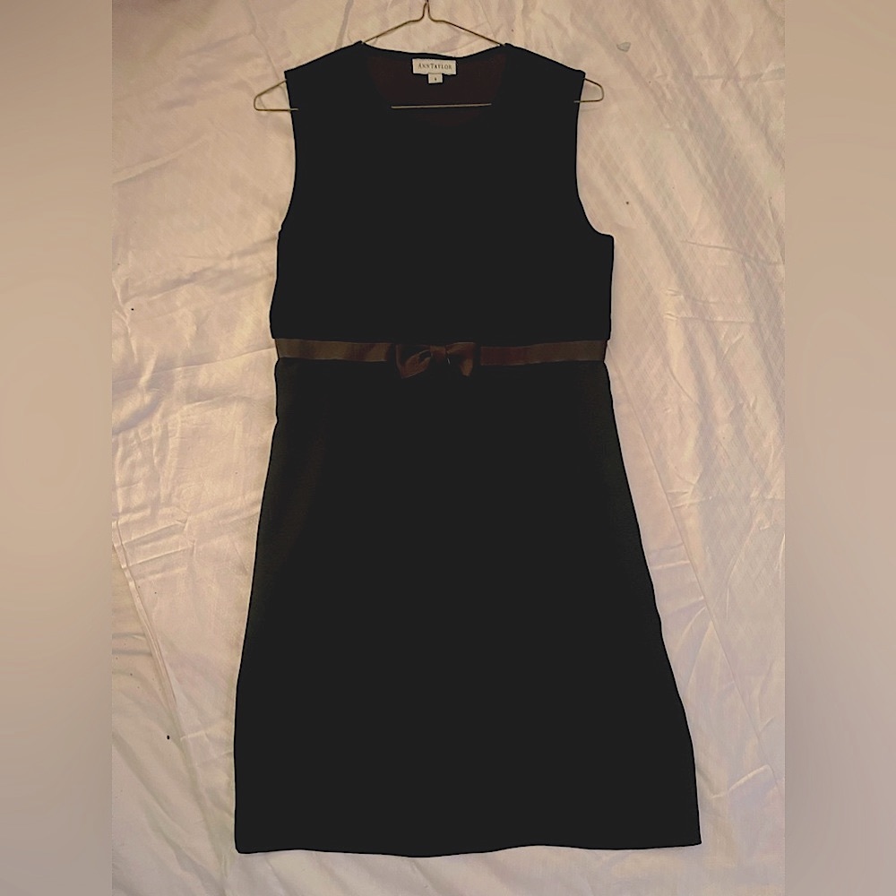 Ann Taylor dress